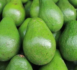 fresh avocados